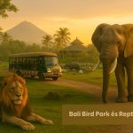 Bali Safari és Marine Park